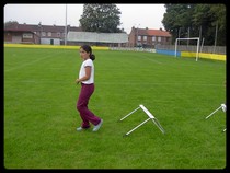 le saut de haies